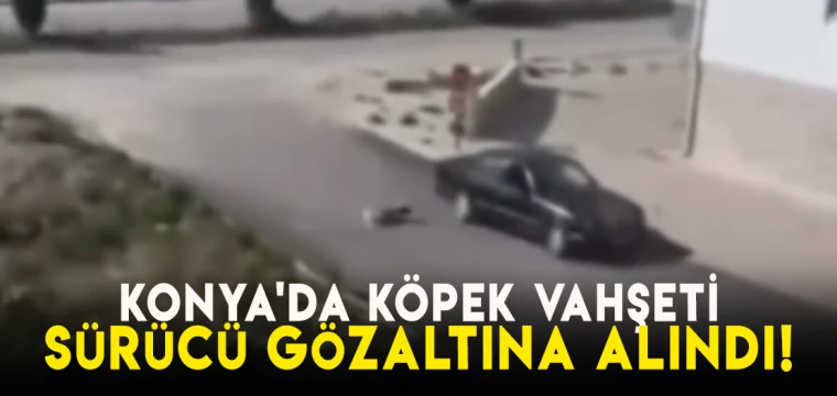 Konya'da köpek vahşeti: Sürücü gözaltına alındı!