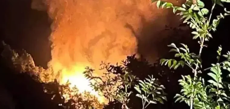 Orman yangını 3 saatte söndüldü