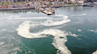 Bilim insanları müsilaj oluşumunun Marmara Denizi'ne etkilerini araştırıyor