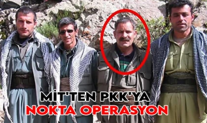 MİT'ten PKK'ya nokta operasyon
