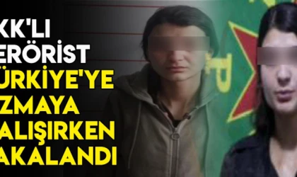 PKK'lı terörist Türkiye'ye sızmaya çalışırken yakalandı