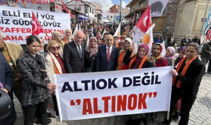Altınok: Bir Türk milliyetçisi bunu söyleyebilir mi?