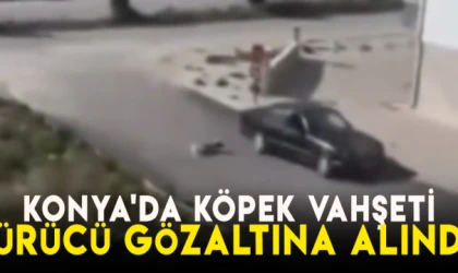 Konya'da köpek vahşeti: Sürücü gözaltına alındı!