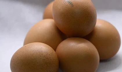 Martta orta öğretim fiyatı arttı, yumurta ve ilgili ürünler düştü