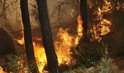 Valilikten orman yangını uyarısı