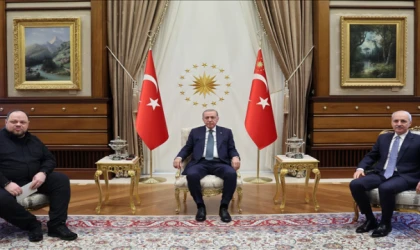 Erdoğan, Ukrayna Meclis Başkanı Stefanchuk'u kabul etti