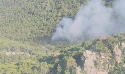 Orman yangını kontrol altına alınmaya çalışılıyor