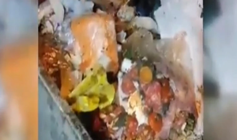Çöp konteynerine atılan 4 kedi yavrusunu belediye temizlik ekibi kurtardı