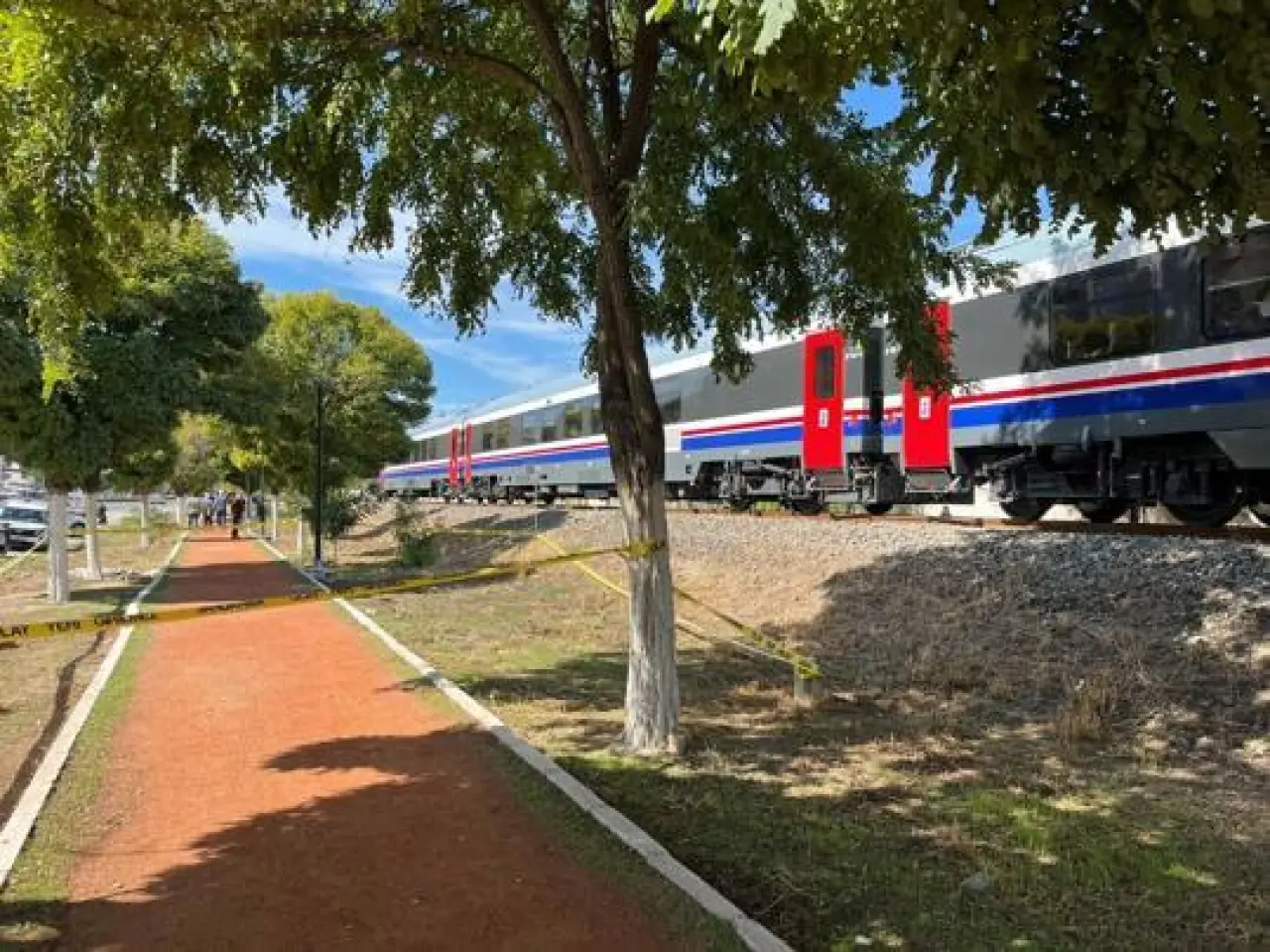 Torununu trenin altında kalmaktan kurtardı, kendisi ağır yaralandı