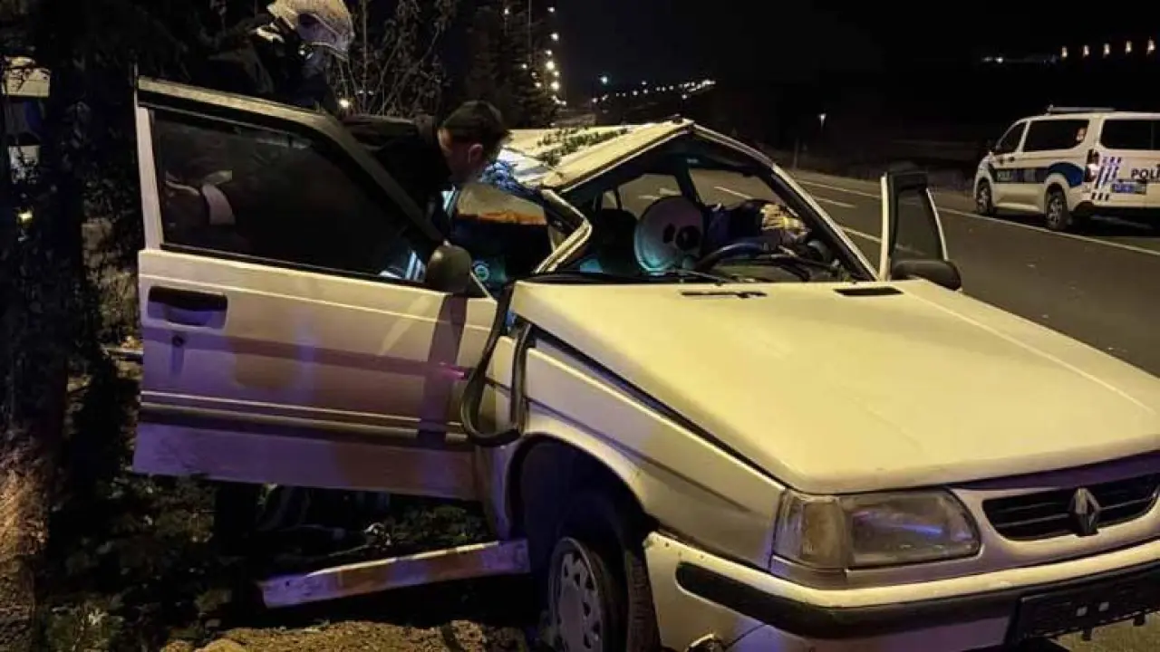 Ağaca ve aydınlatma direğine çarpan otomobilin sürücüsü yaralandı