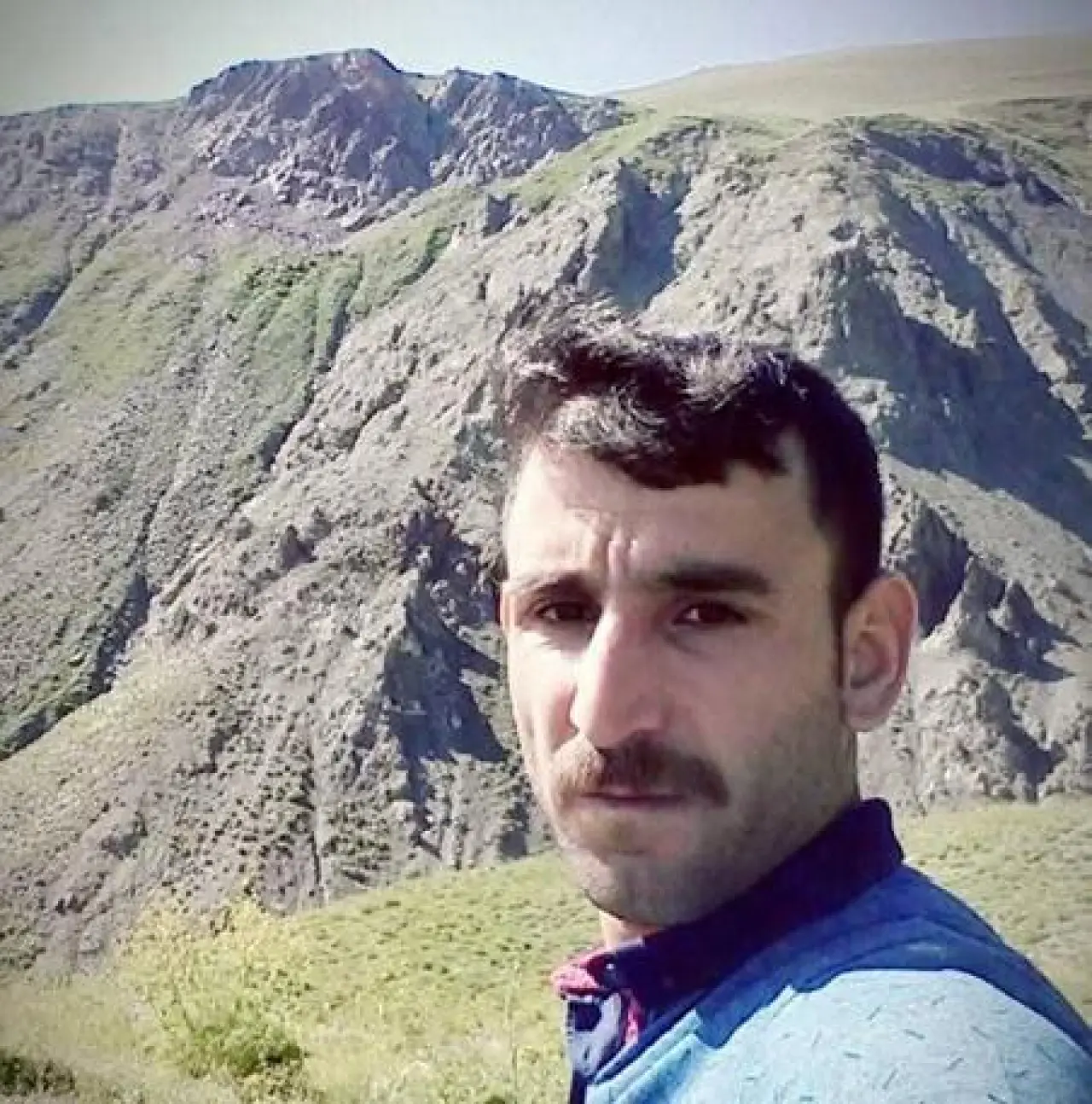 Yola çıkan kedi, kazaya neden oldu: 2 ölü, 3 yaralı