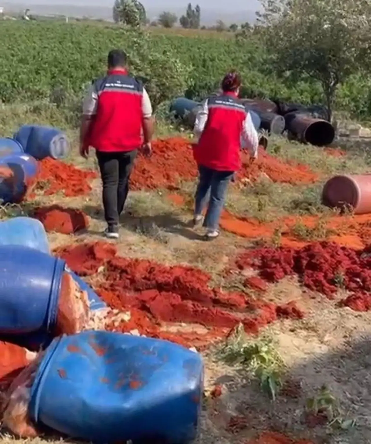 Hatayda salça denetimi; 6 ton domates posası imha edildi