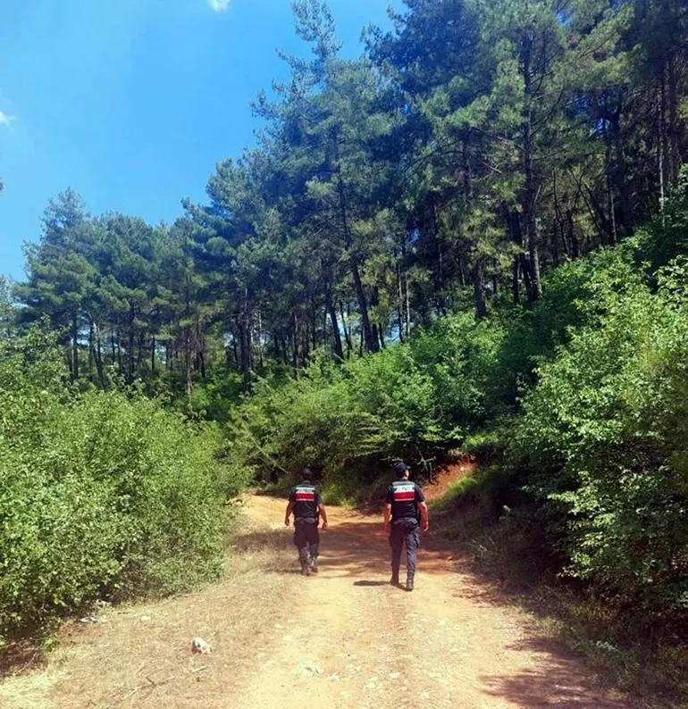 Muğlada ormanlara giriş yasağı