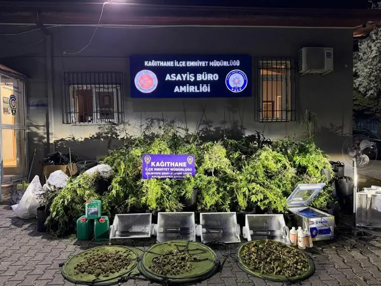 Kağıthane’de koku gelen eve operasyon: Seraya çevirmişler; 30 milyon lira değerinde uyuşturucu bulundu
