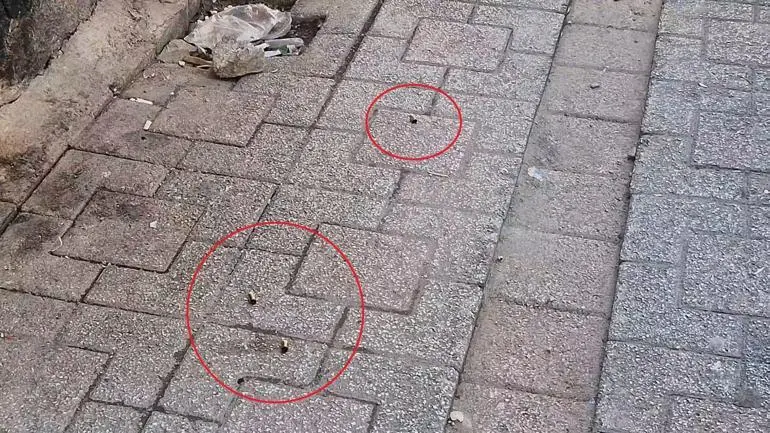 Diyarbakır’da eve silahlı saldırı