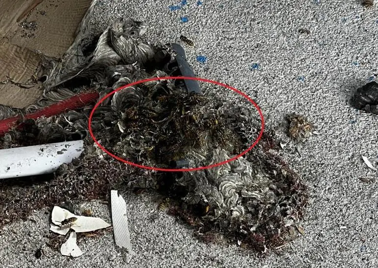 Çatı temizliği sırasında aynı aileden 4 kişiye arılar saldırdı