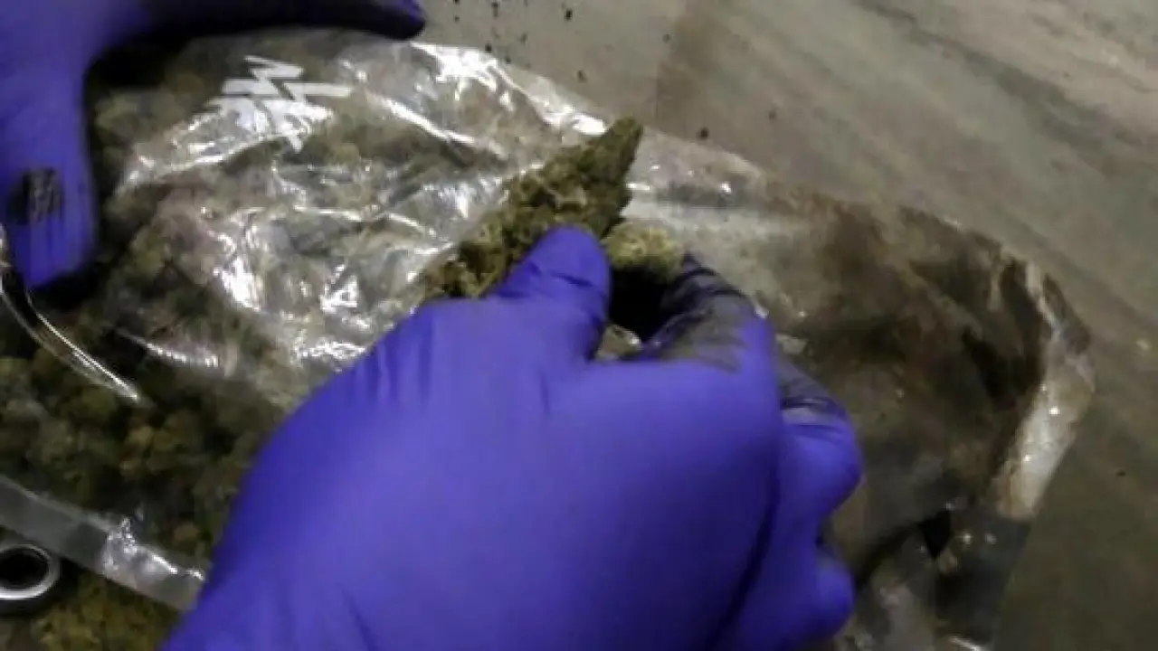 Kapıkule’de 2 otomobilde 20 kilo 812 gram esrar ele geçirildi