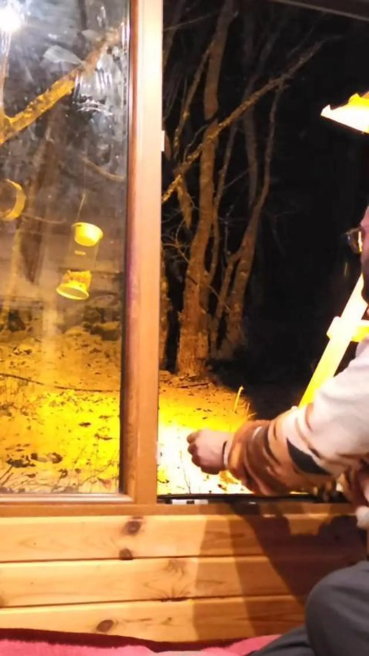 Kartepe’de yiyecek arayan tilkiyi, eliyle besledi