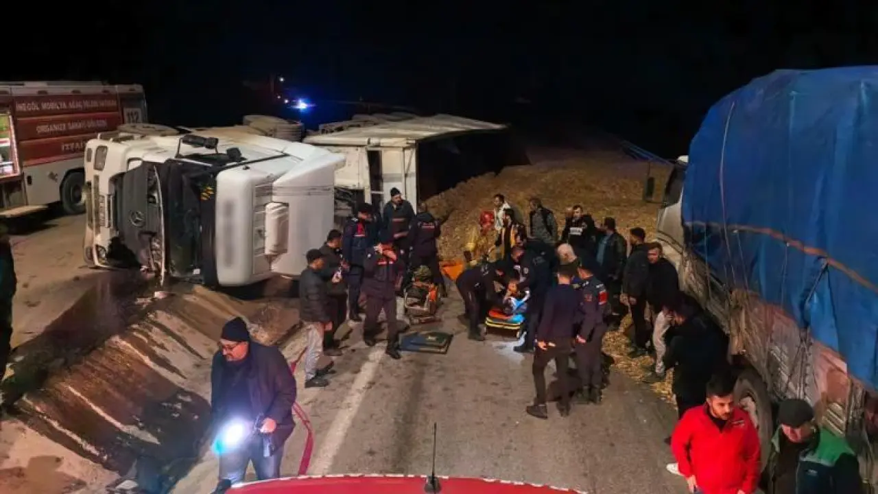 Bursada talaş yüklü TIR devrildi: 1 ölü
