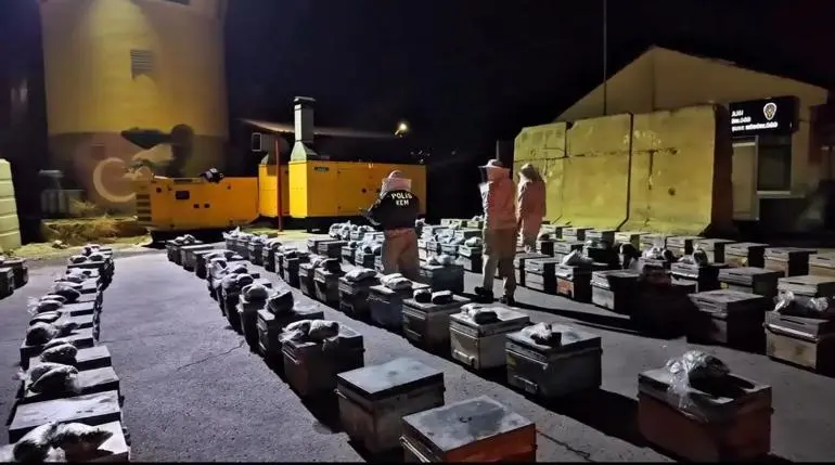 TIRda arı kovanlarına gizlenmiş 91 kilo uyuşturucu ele geçirildi; 3 gözaltı