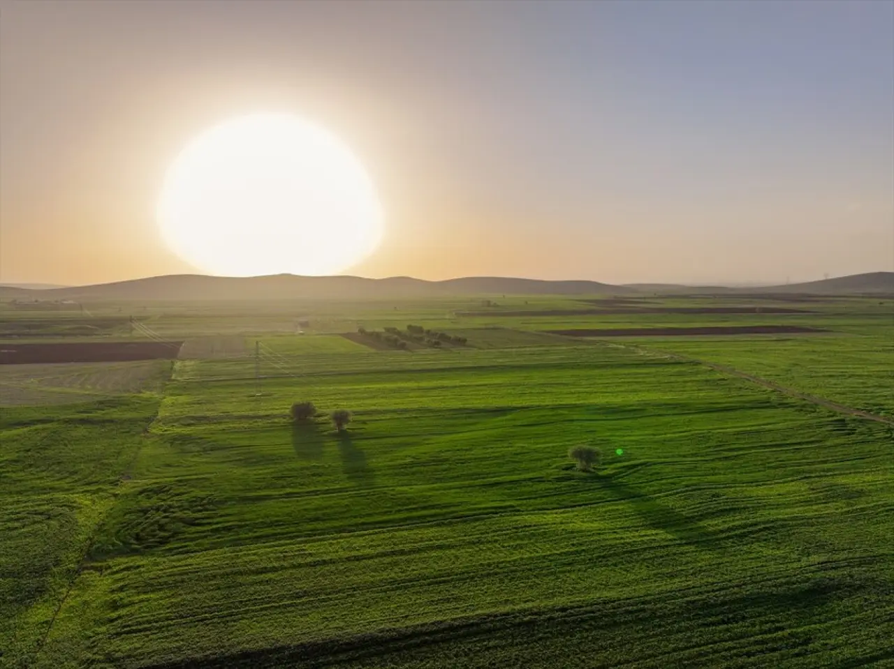 Konya'da yağışlar tarımda enerji maliyetlerini düşürdü